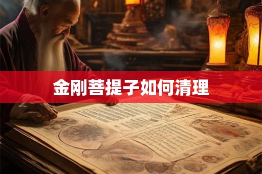 金刚菩提子如何清理