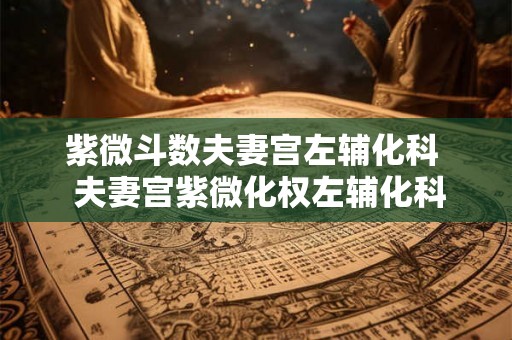 紫微斗数夫妻宫左辅化科  夫妻宫紫微化权左辅化科