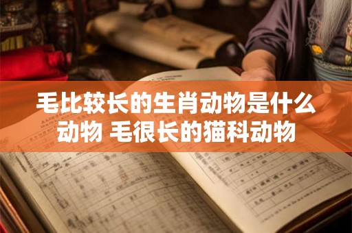 毛比较长的生肖动物是什么动物 毛很长的猫科动物