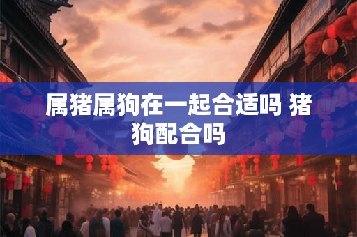 属猪属狗在一起合适吗 猪狗配合吗