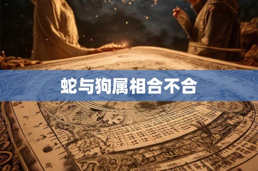 蛇与狗属相合不合