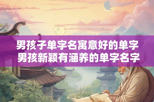 男孩子单字名寓意好的单字 男孩新颖有涵养的单字名字