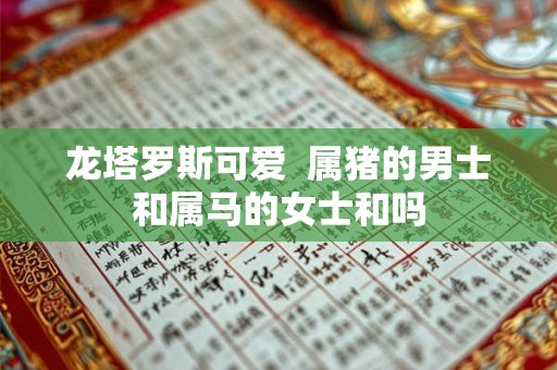 龙塔罗斯可爱  属猪的男士和属马的女士和吗