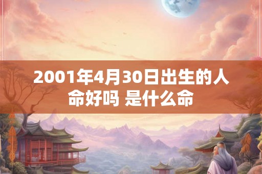 2001年4月30日出生的人命好吗 是什么命