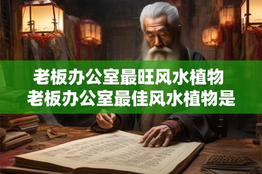 老板办公室最旺风水植物 老板办公室最佳风水植物是什么