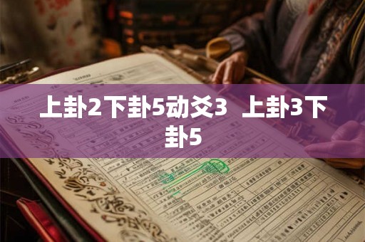 上卦2下卦5动爻3  上卦3下卦5
