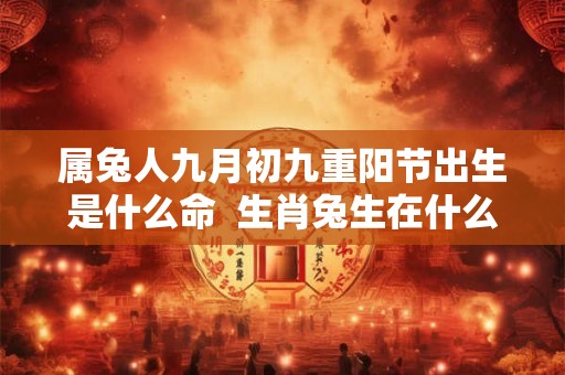 属兔人九月初九重阳节出生是什么命  生肖兔生在什么时辰命最好