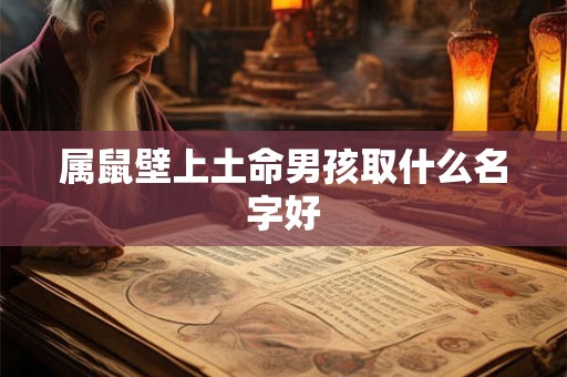 属鼠壁上土命男孩取什么名字好