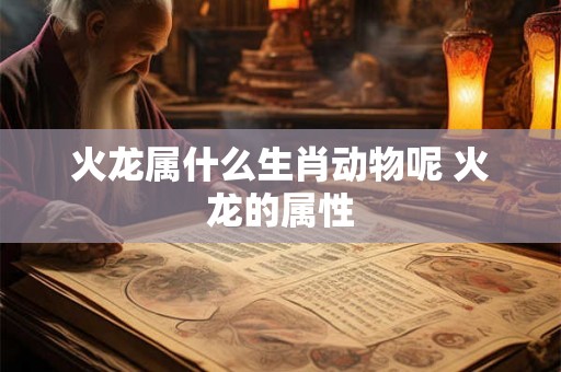 火龙属什么生肖动物呢 火龙的属性