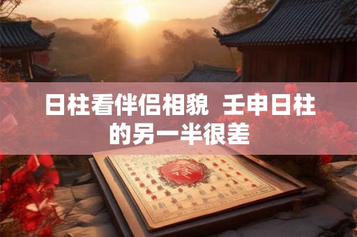 日柱看伴侣相貌  壬申日柱的另一半很差