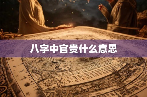 八字中官贵什么意思