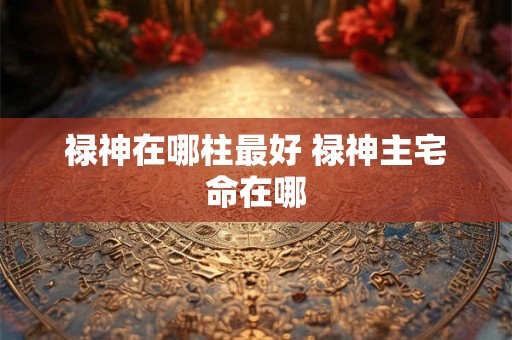 禄神在哪柱最好 禄神主宅命在哪