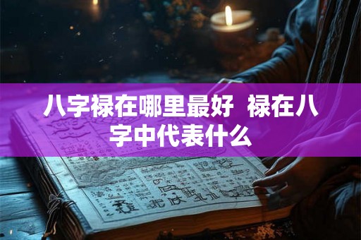 八字禄在哪里最好  禄在八字中代表什么