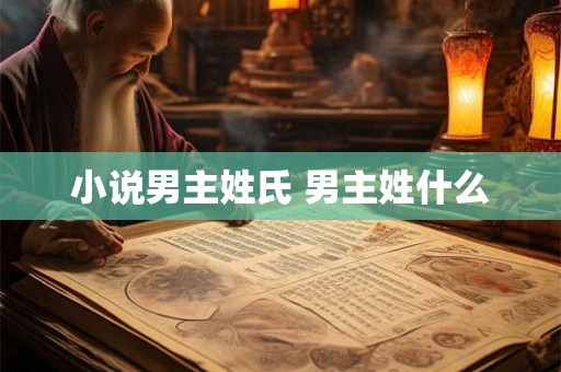 小说男主姓氏 男主姓什么