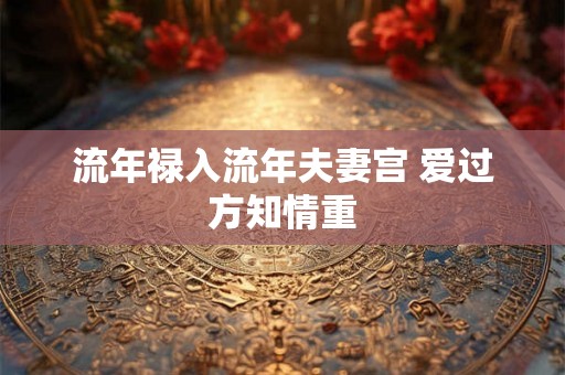 流年禄入流年夫妻宫 爱过方知情重