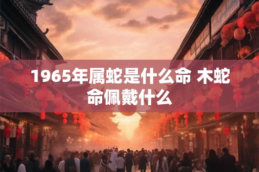 1965年属蛇是什么命 木蛇命佩戴什么