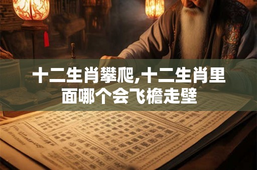 十二生肖攀爬,十二生肖里面哪个会飞檐走壁