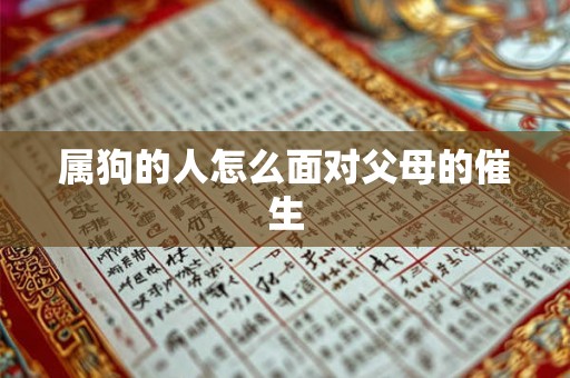 属狗的人怎么面对父母的催生 属狗的人怎么面对父母的催生