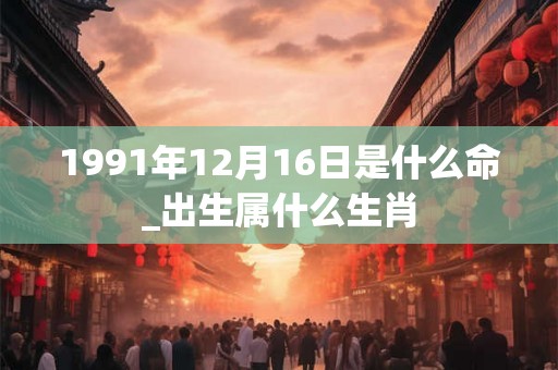 1991年12月16日是什么命_出生属什么生肖