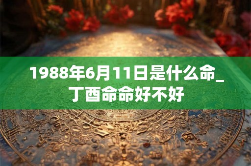 1988年6月11日是什么命_丁酉命命好不好