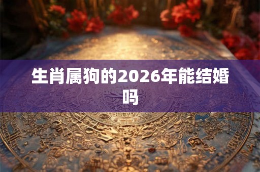 生肖属狗的2026年能结婚吗