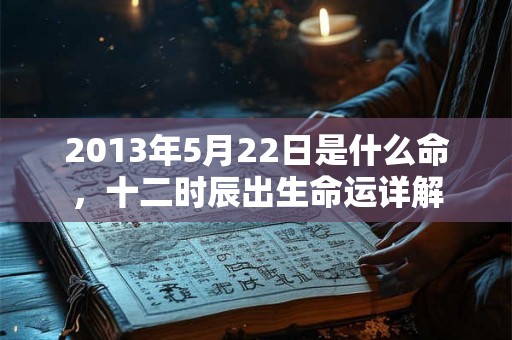 2013年5月22日是什么命，十二时辰出生命运详解