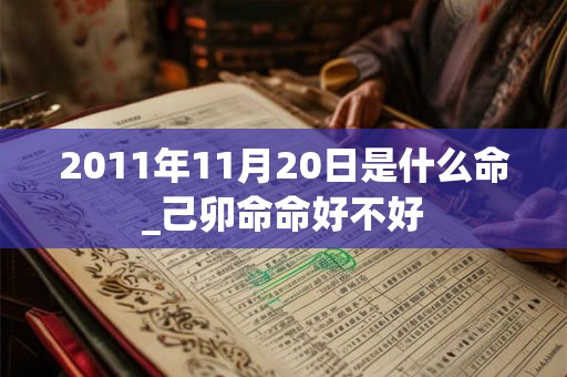 2011年11月20日是什么命_己卯命命好不好