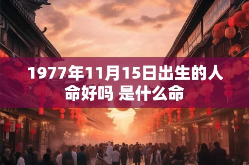 1977年11月15日出生的人命好吗 是什么命