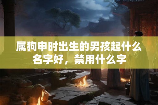 属狗申时出生的男孩起什么名字好，禁用什么字