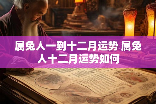 属兔人一到十二月运势 属兔人十二月运势如何