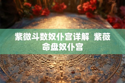 紫微斗数奴仆宫详解  紫薇命盘奴仆宫