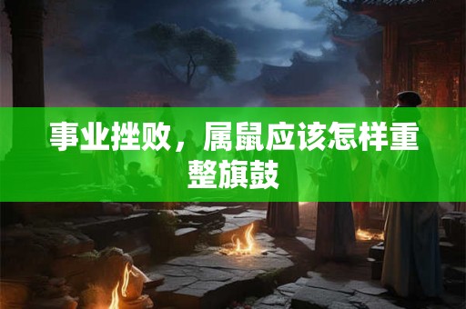 事业挫败，属鼠应该怎样重整旗鼓