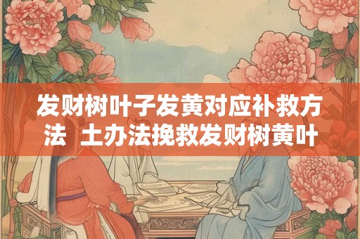 发财树叶子发黄对应补救方法  土办法挽救发财树黄叶子