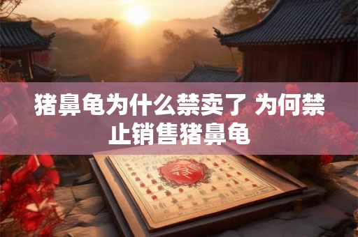 猪鼻龟为什么禁卖了 为何禁止销售猪鼻龟