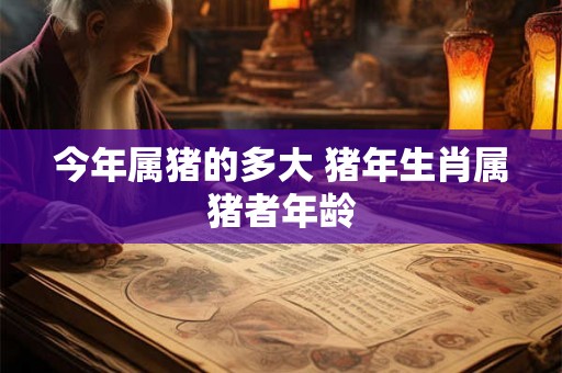 今年属猪的多大 猪年生肖属猪者年龄 今年属猪的多大 猪年生肖属猪者年龄