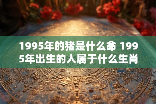 1995年的猪是什么命 1995年出生的人属于什么生肖
