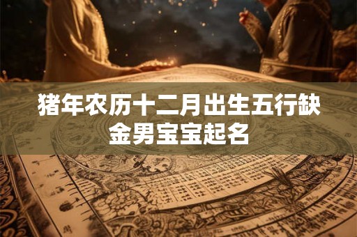 猪年农历十二月出生五行缺金男宝宝起名