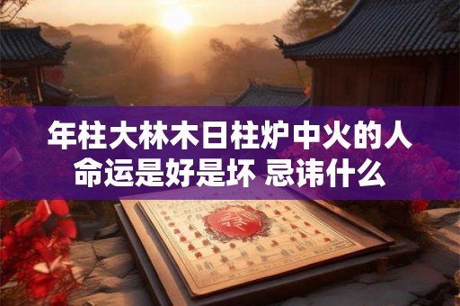 年柱大林木日柱炉中火的人命运是好是坏 忌讳什么 年柱大林木日柱炉中火的人命运是好是坏 忌讳什么