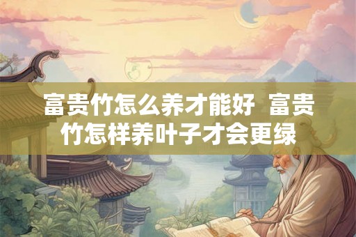 富贵竹怎么养才能好 富贵竹怎样养叶子才会更绿 富贵竹怎么养才能好 富贵竹怎样养叶子才会更绿