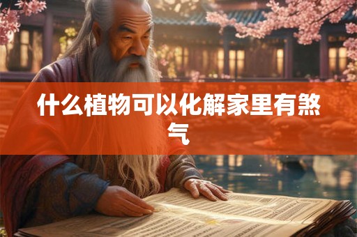什么植物可以化解家里有煞气