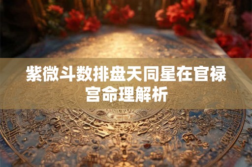 紫微斗数排盘天同星在官禄宫命理解析