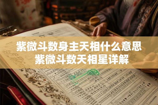 紫微斗数身主天相什么意思 紫微斗数天相星详解 紫微斗数身主天相什么意思 紫微斗数天相星详解