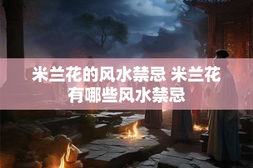 米兰花的风水禁忌 米兰花有哪些风水禁忌