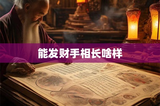 能发财手相长啥样