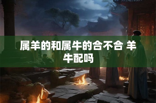 属羊的和属牛的合不合 羊牛配吗