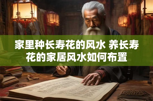 家里种长寿花的风水 养长寿花的家居风水如何布置