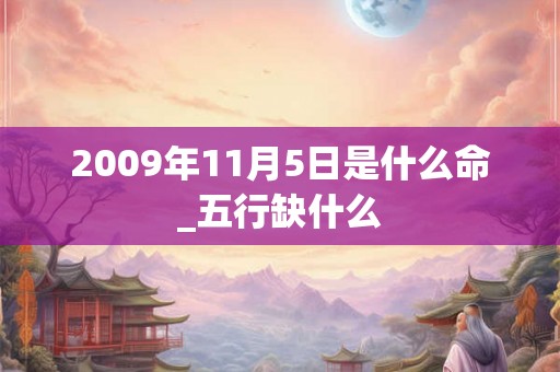 2009年11月5日是什么命_五行缺什么