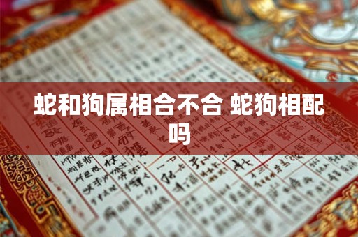 蛇和狗属相合不合 蛇狗相配吗 蛇和狗属相合不合 蛇狗相配吗