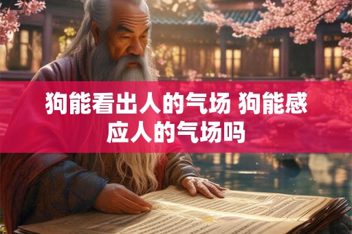 狗能看出人的气场 狗能感应人的气场吗