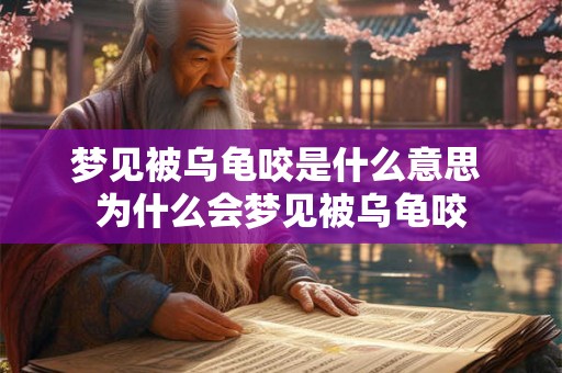 梦见被乌龟咬是什么意思 为什么会梦见被乌龟咬
